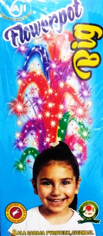 Flower Pots Ashoka